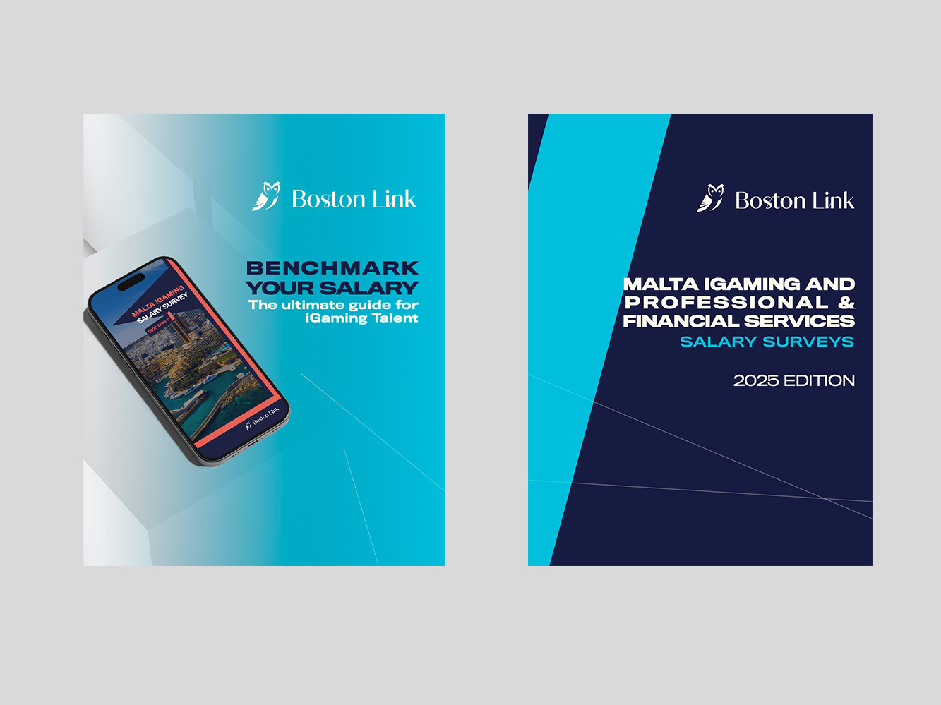 `gvdsvx
